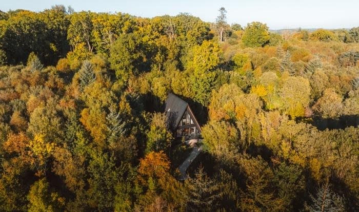 woodland lodge ireland 2