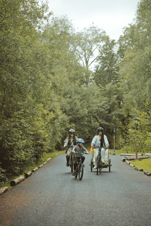 woodland lodge ireland 4